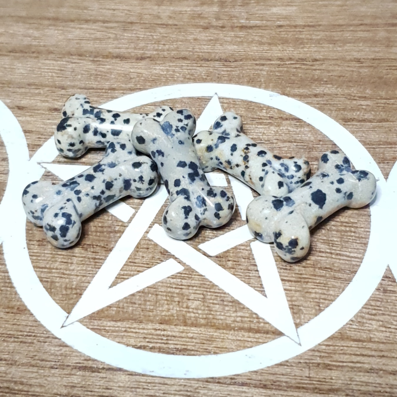 Dalmatian Jasper Dog Bone Carving.