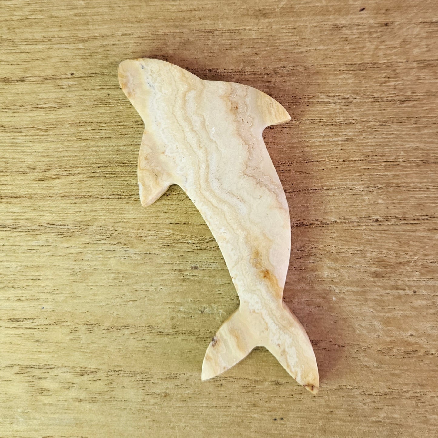 Yellow Crazy Lace Dolphin Carving.