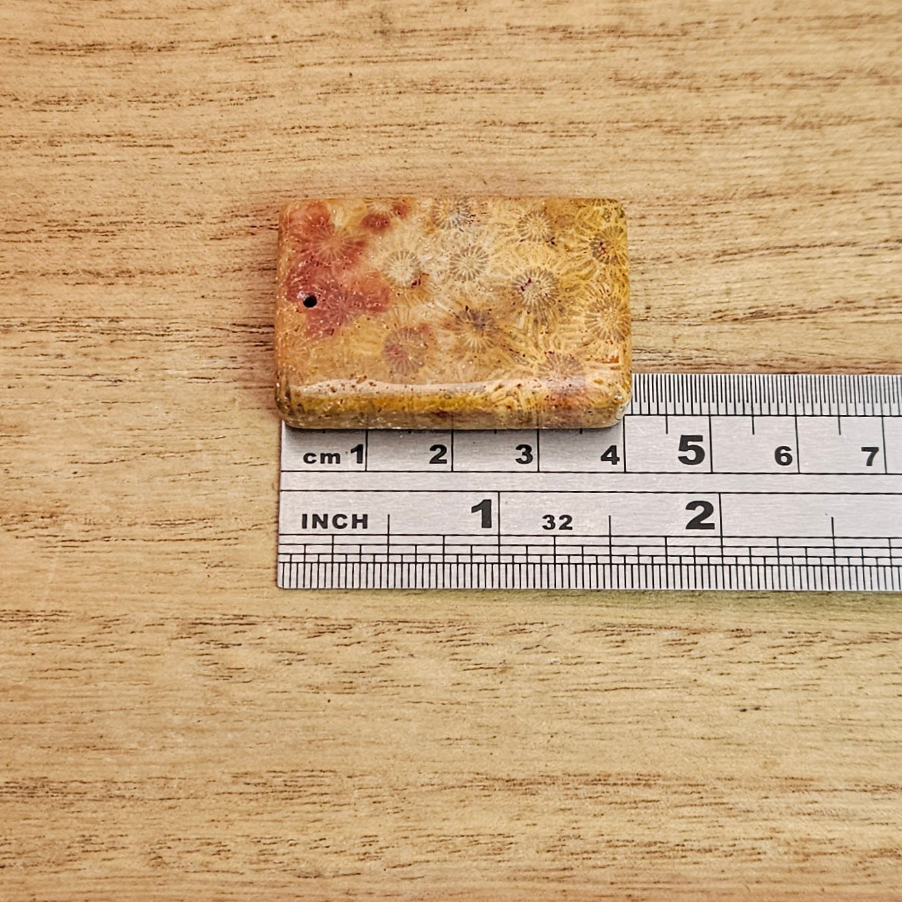 Fossil Coral Rectangle Cabochon. *Pre Drilled*.