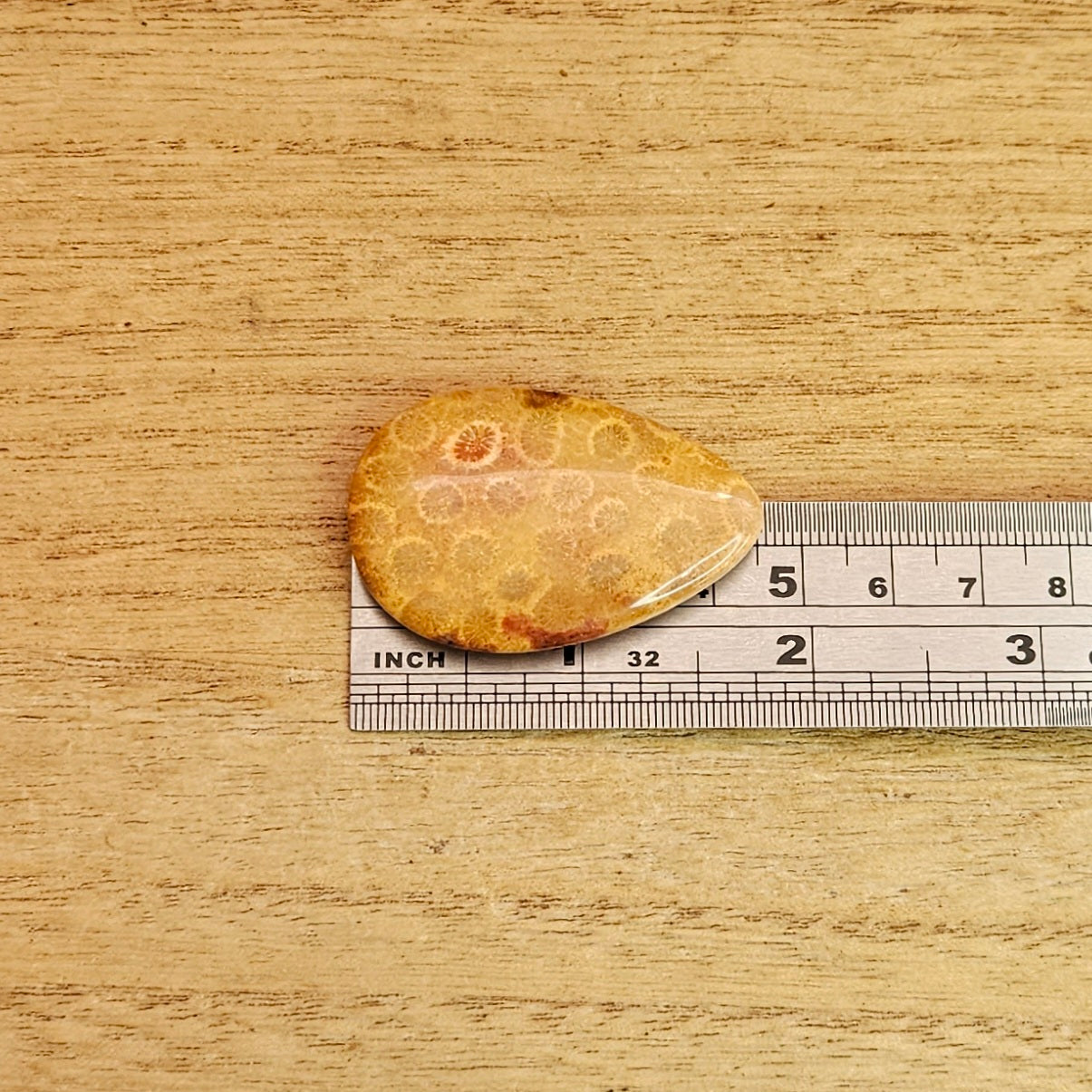 Fossil Coral Tear-drop Cabochon.