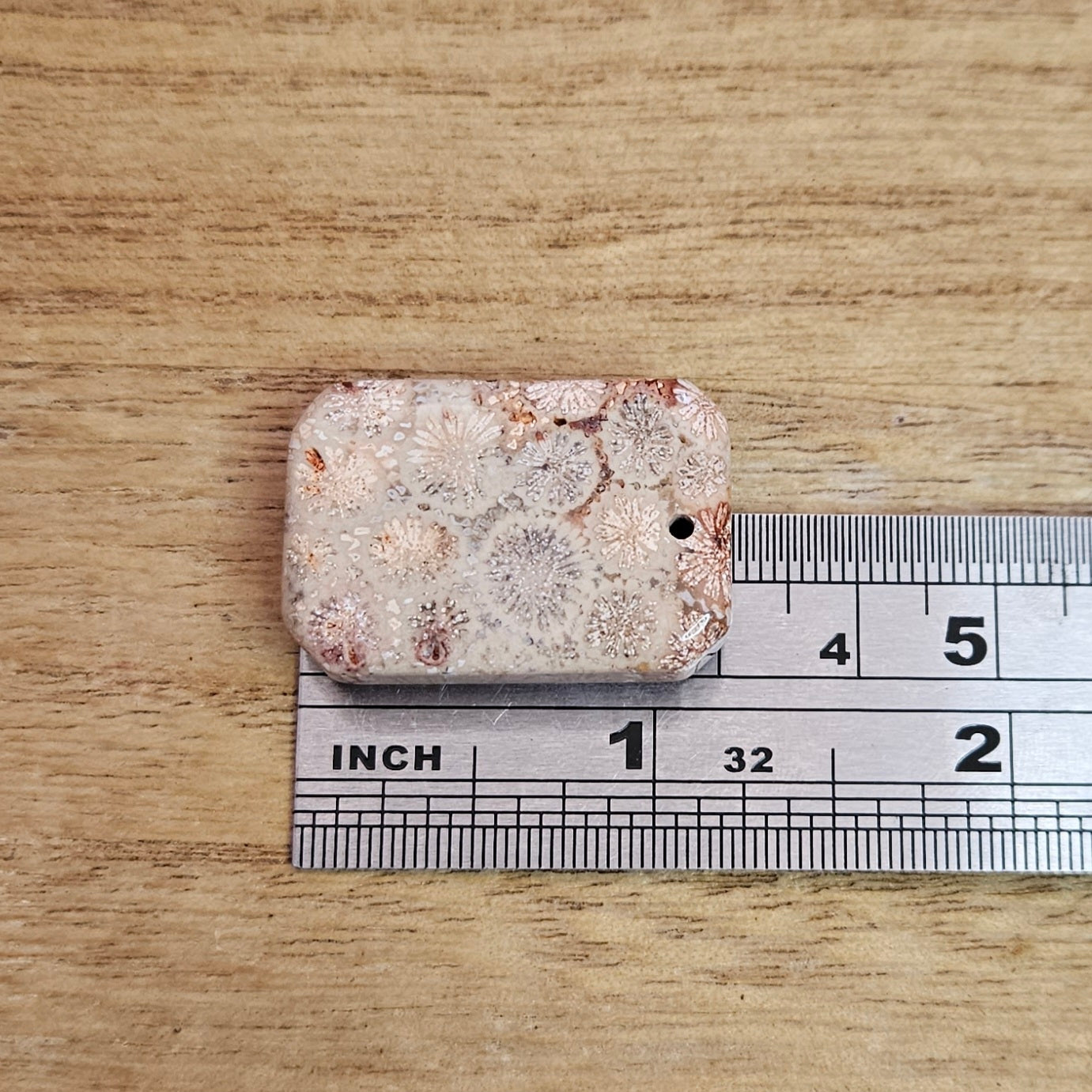 Fossil Coral Rectangle Cabochon. * Pre Drilled*.