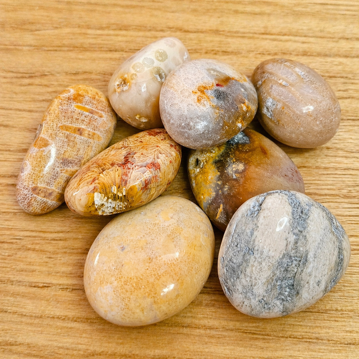Fossil Coral Tumble.