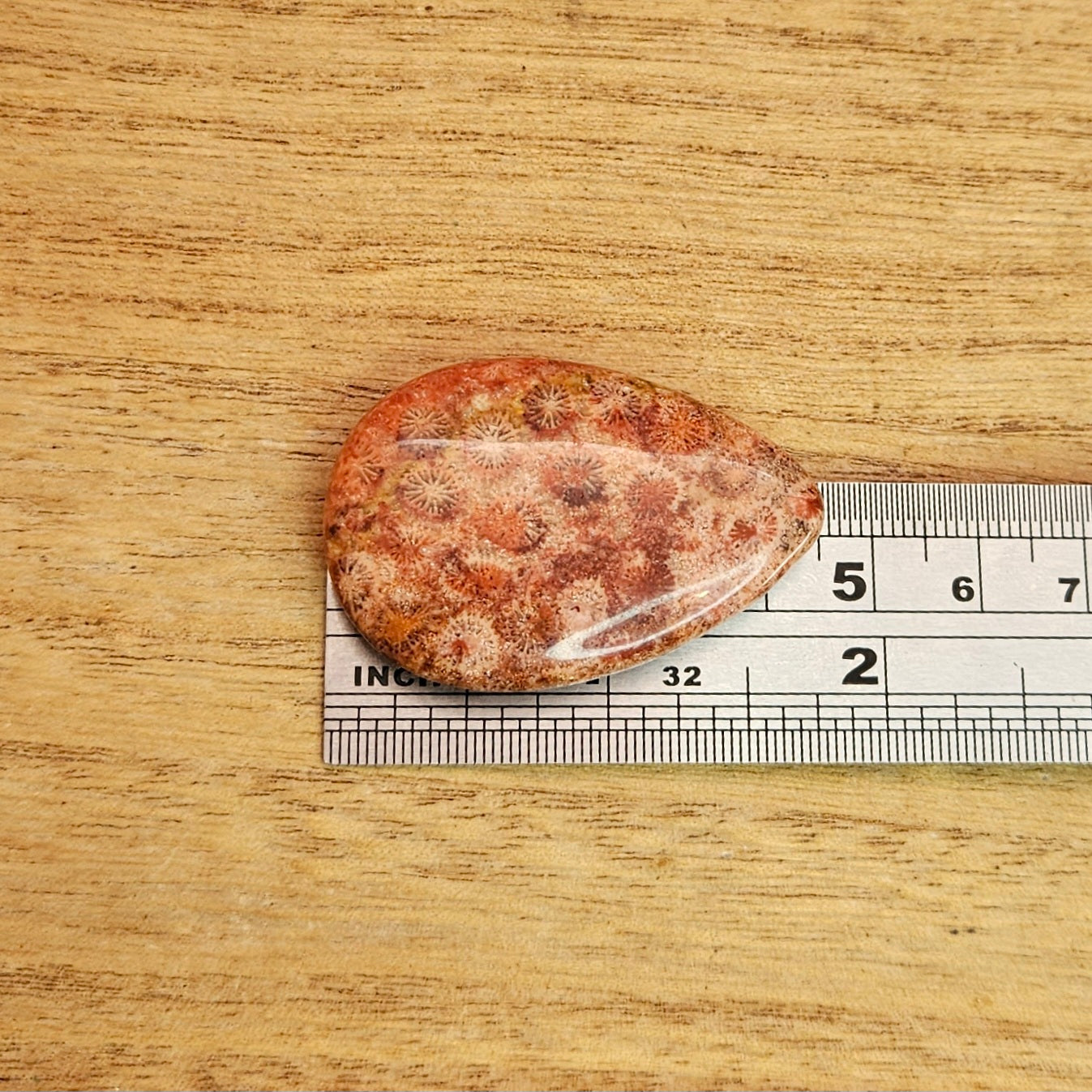 Fossil Coral Tear-drop Cabochon.