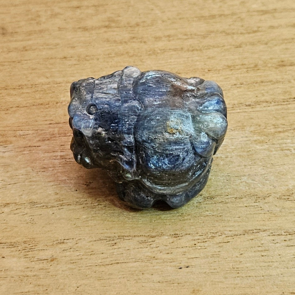 Blue Kyanite LongGui Carving.