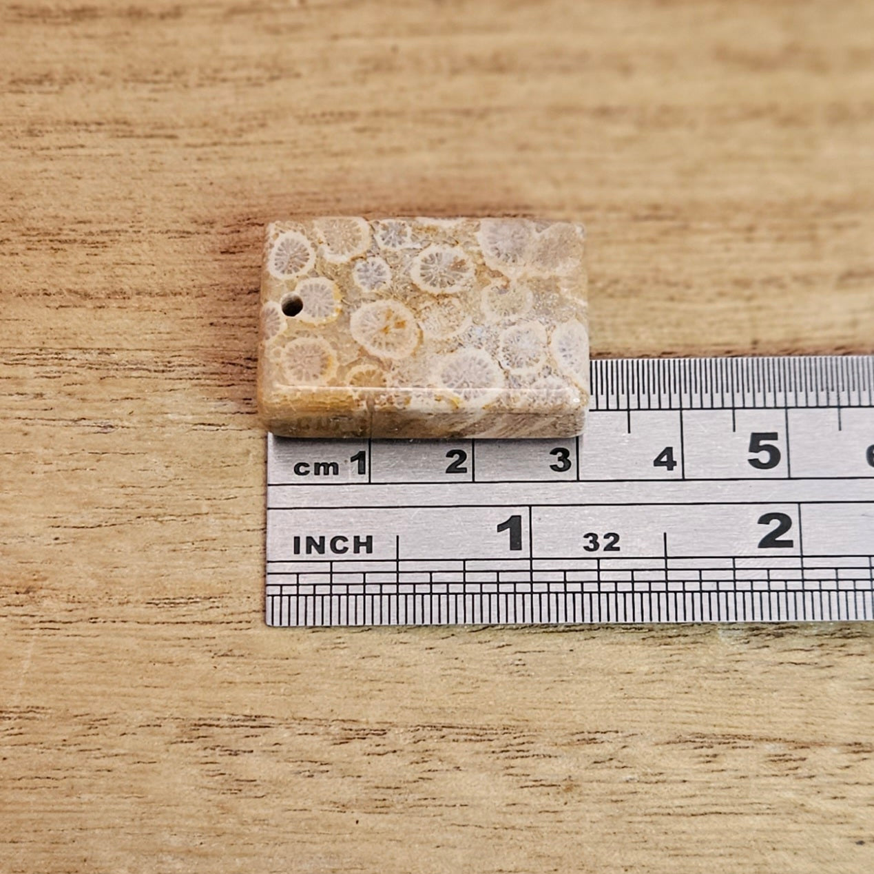 Fossil Coral Rectangle Cabochon. *Pre Drilled*.