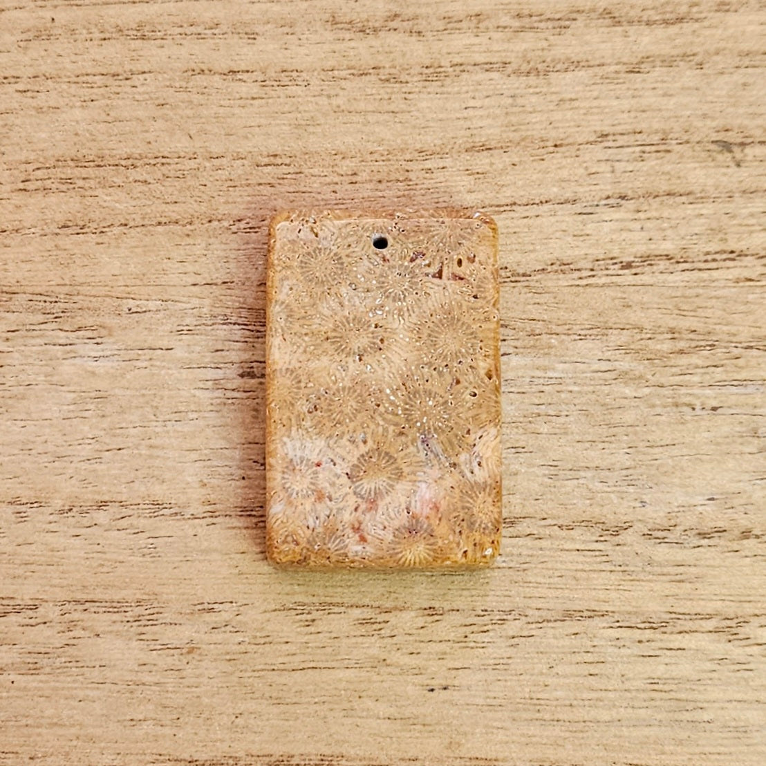 Fossil Coral Rectangle Cabochon. *Pre Drilled*.