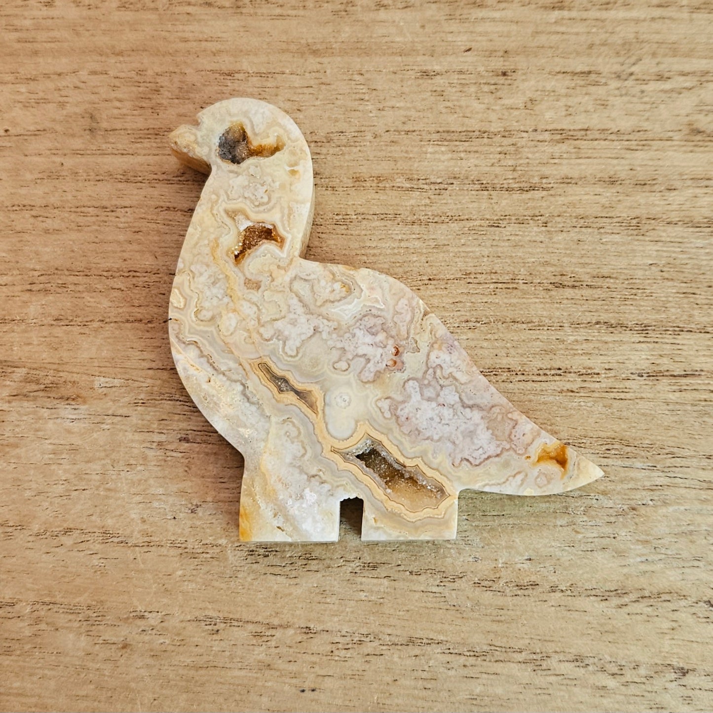 Yellow Crazy Lace Agate Brontosaurus Flat Carving.