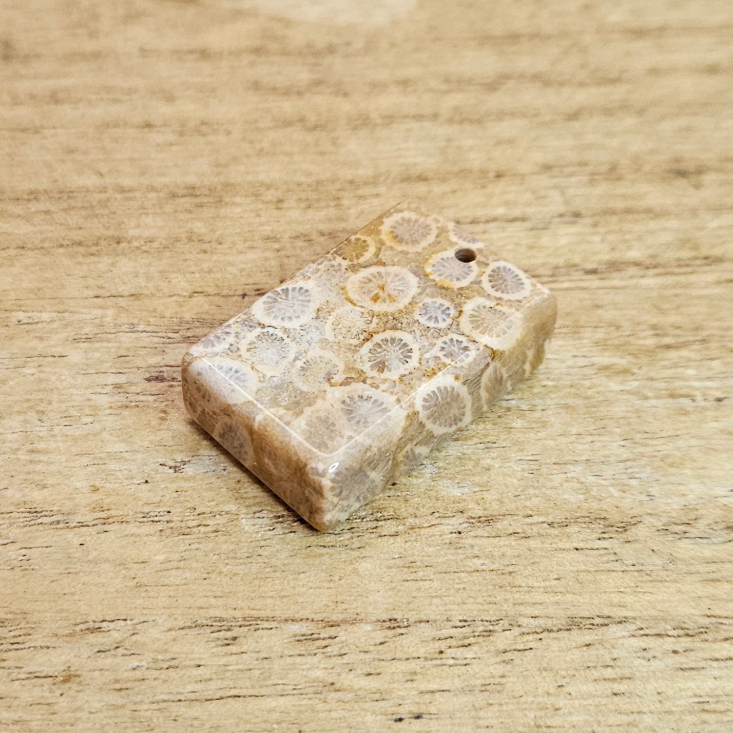 Fossil Coral Rectangle Cabochon. *Pre Drilled*.