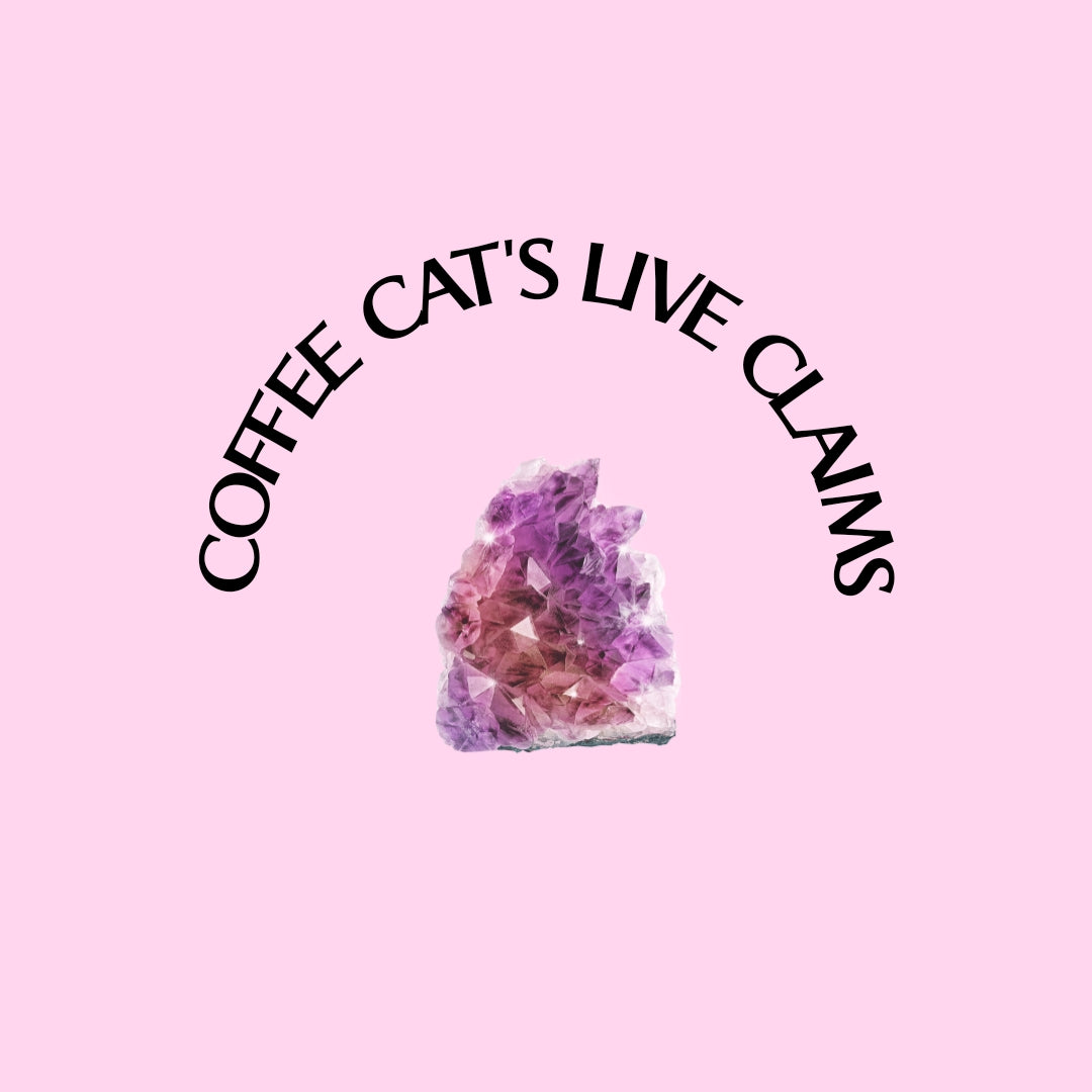 Sarah's TikTok Live Claims. Payment 3 of 4.