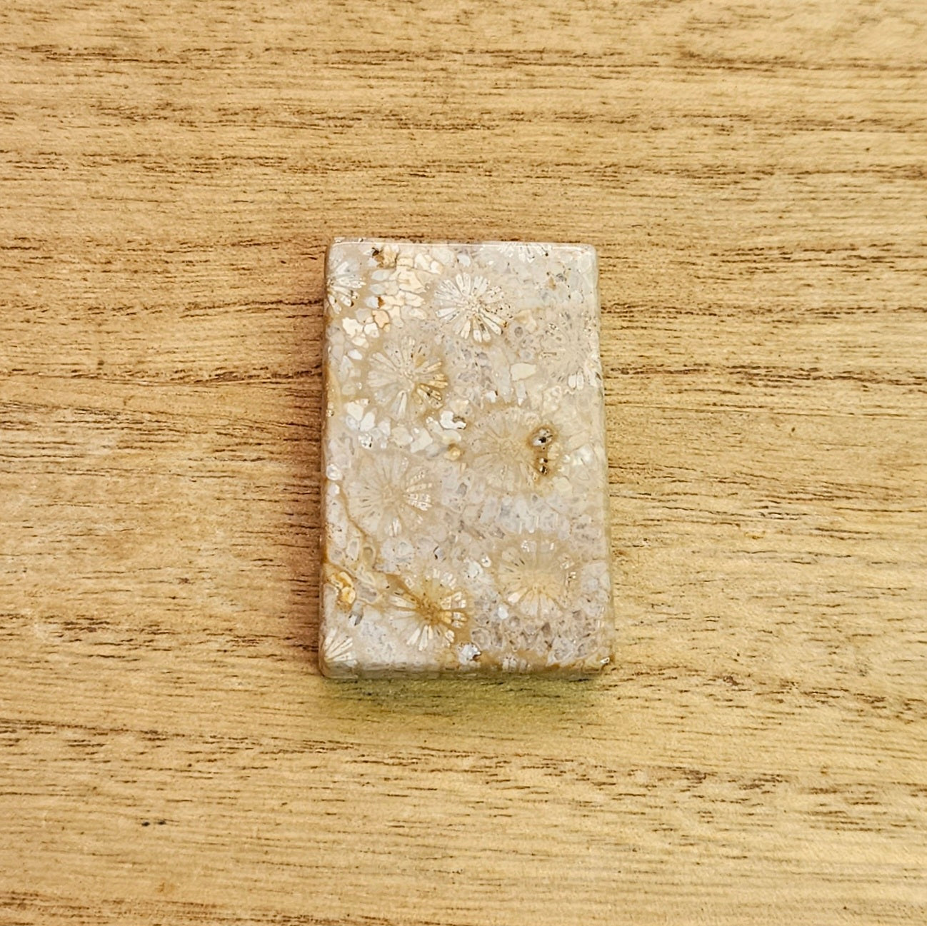 Fossil Coral Rectangle Cabochon.