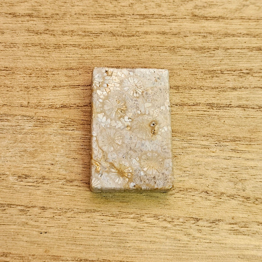 Fossil Coral Rectangle Cabochon.