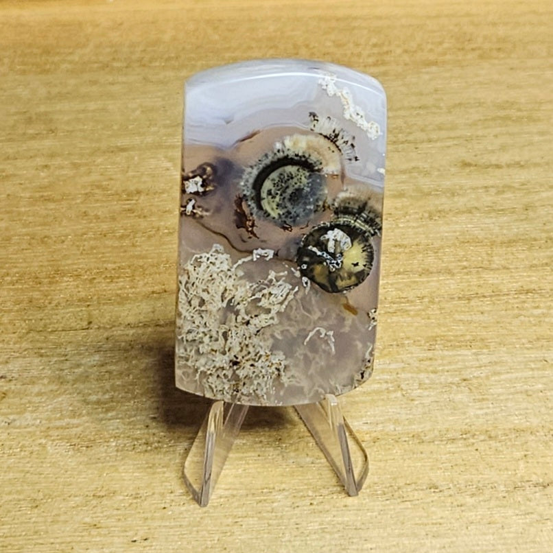 Scenic Moss Agate Cabochon.