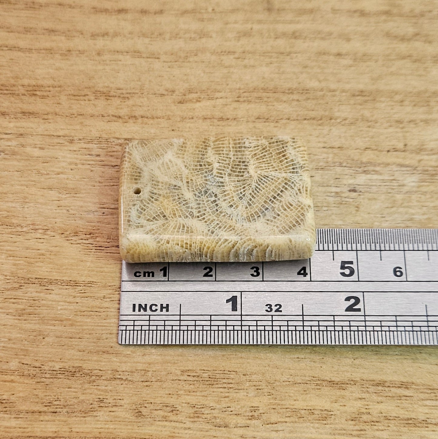 Fossil Coral Rectangle Cabochon. *Pre Drilled*.