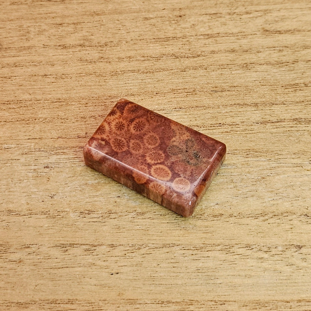 Fossil Coral Rectangle Cabochon.