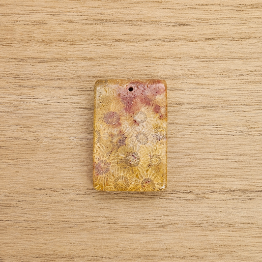 Fossil Coral Rectangle Cabochon. *Pre Drilled*.