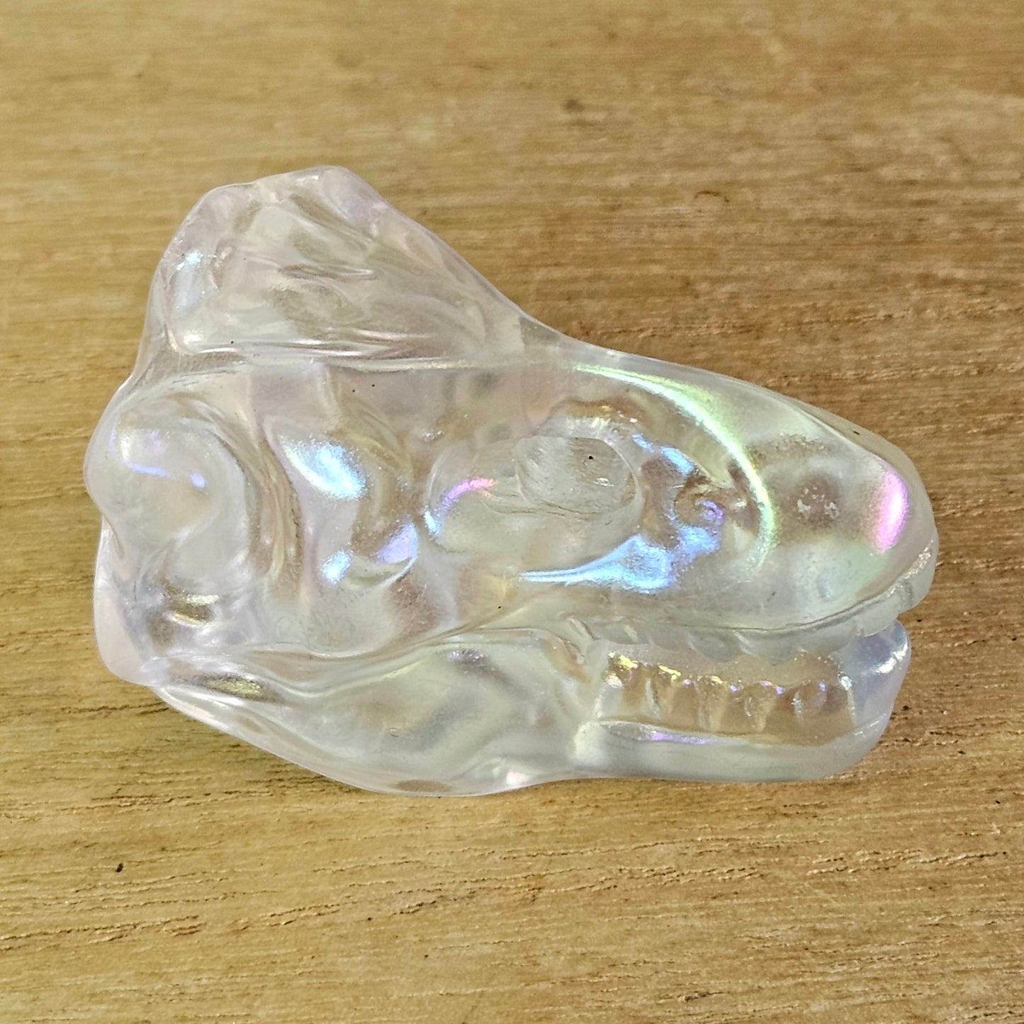 Aura Glass T-Rex Skull Carving.
