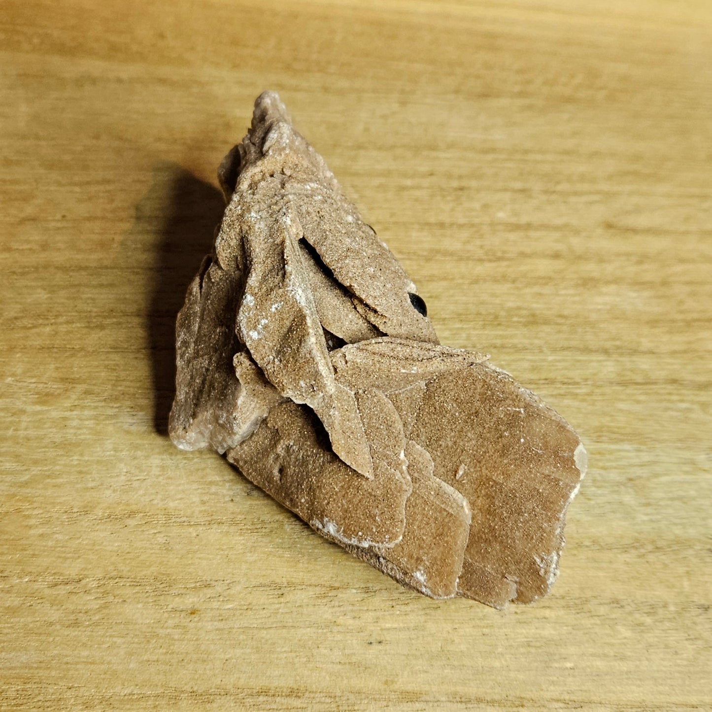 Desert Rose Raw Buddy.