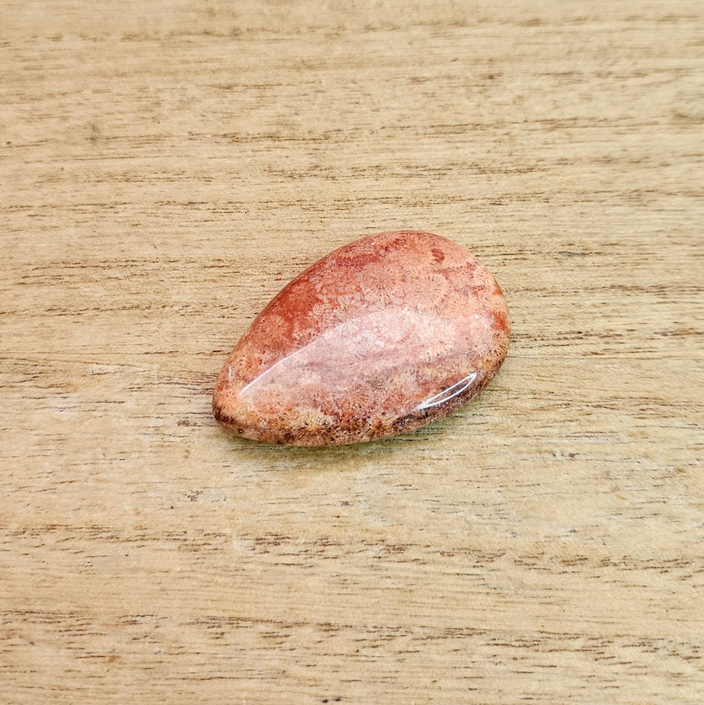 Fossil Coral Tear-drop Cabochon.