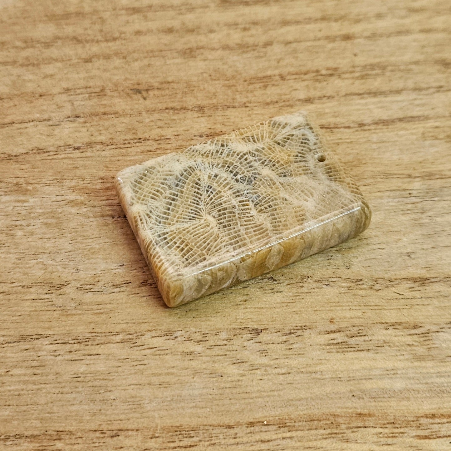 Fossil Coral Rectangle Cabochon. *Pre Drilled*.