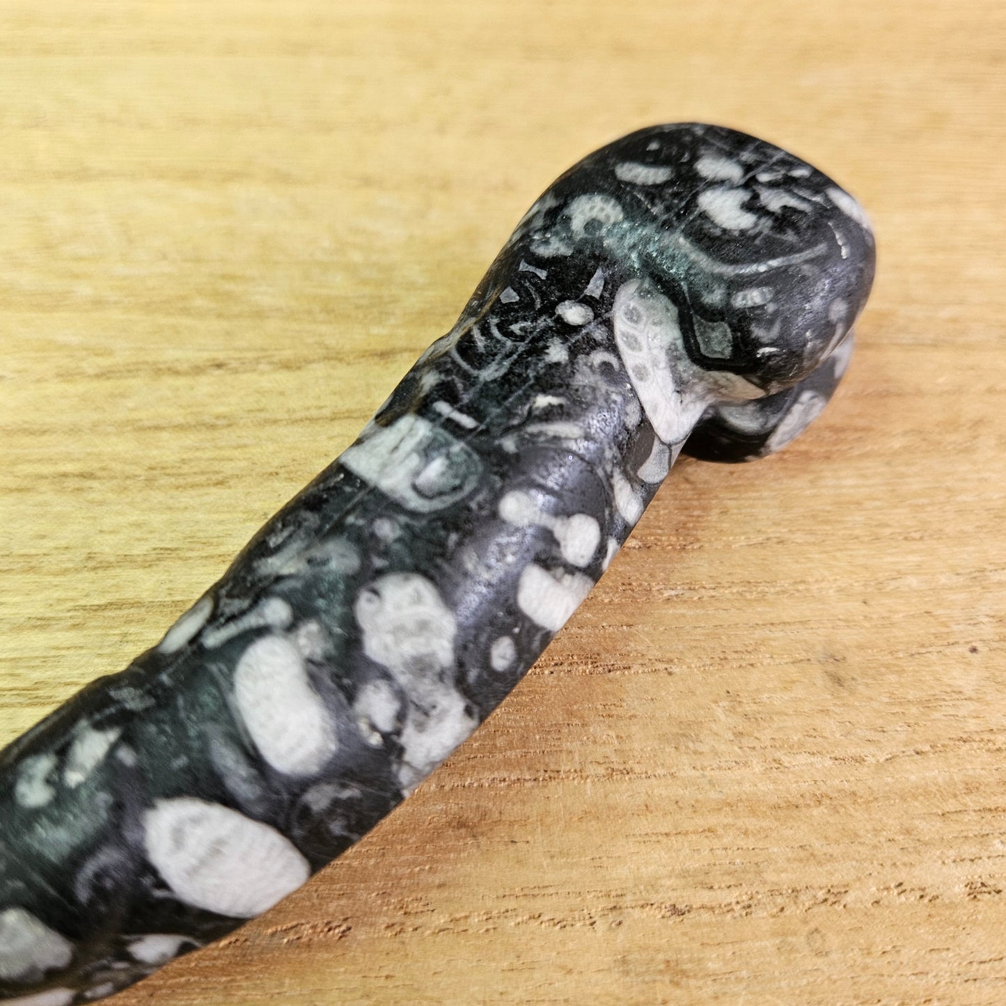 Fossil Jasper Willy.