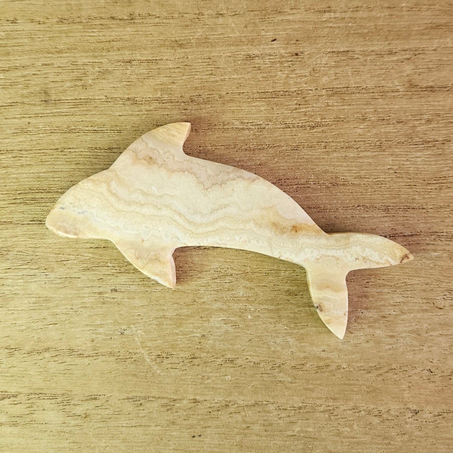 Yellow Crazy Lace Dolphin Carving.