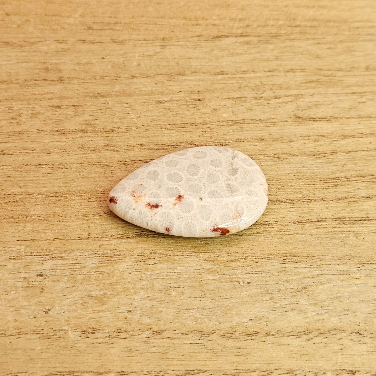 Fossil Coral Tear-drop Cabochon.