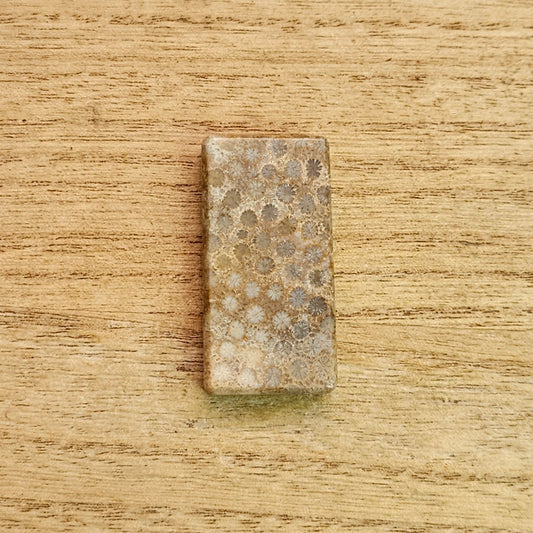 Fossil Coral Rectangle Cabochon.