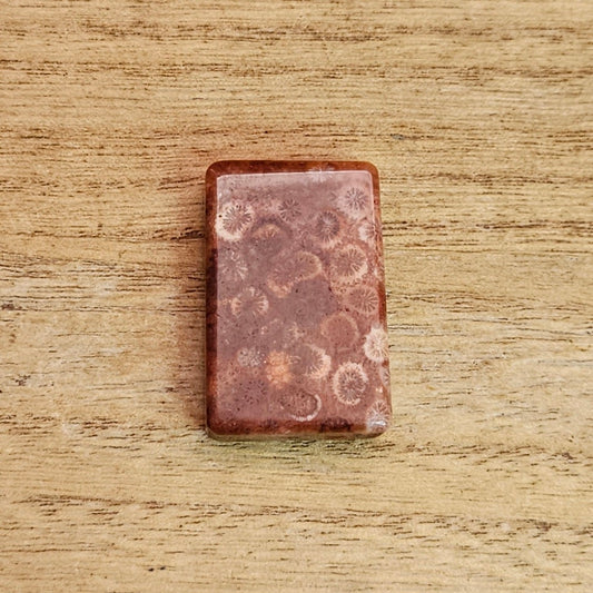 Fossil Coral Rectangle Cabochon.