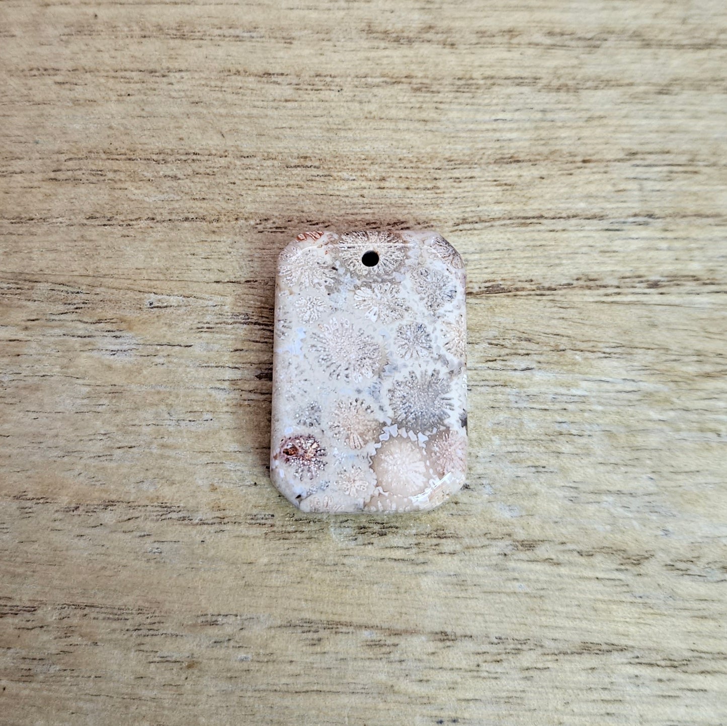 Fossil Coral Rectangle Cabochon. * Pre Drilled*.