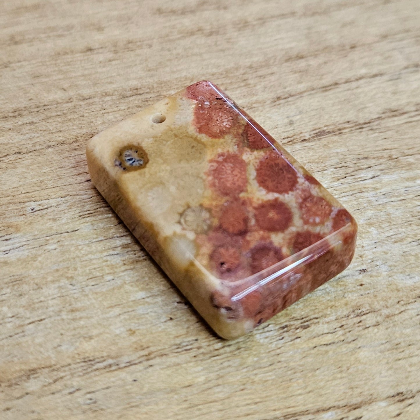 Fossil Coral Rectangle Cabochon. *Pre Drilled*.