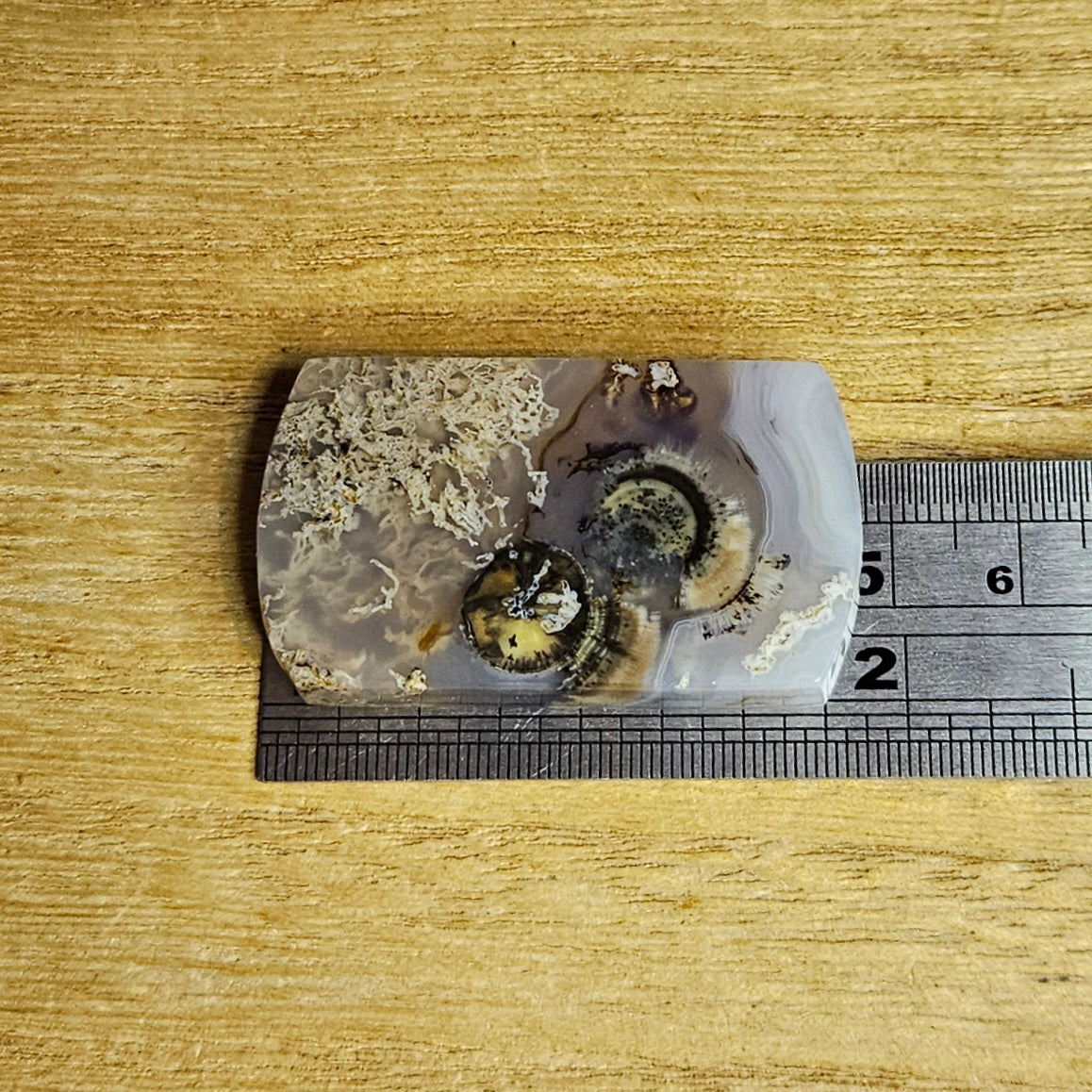 Scenic Moss Agate Cabochon.