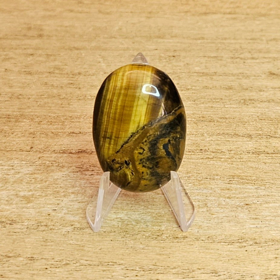 Tiger's Eye Oval Cabochon.