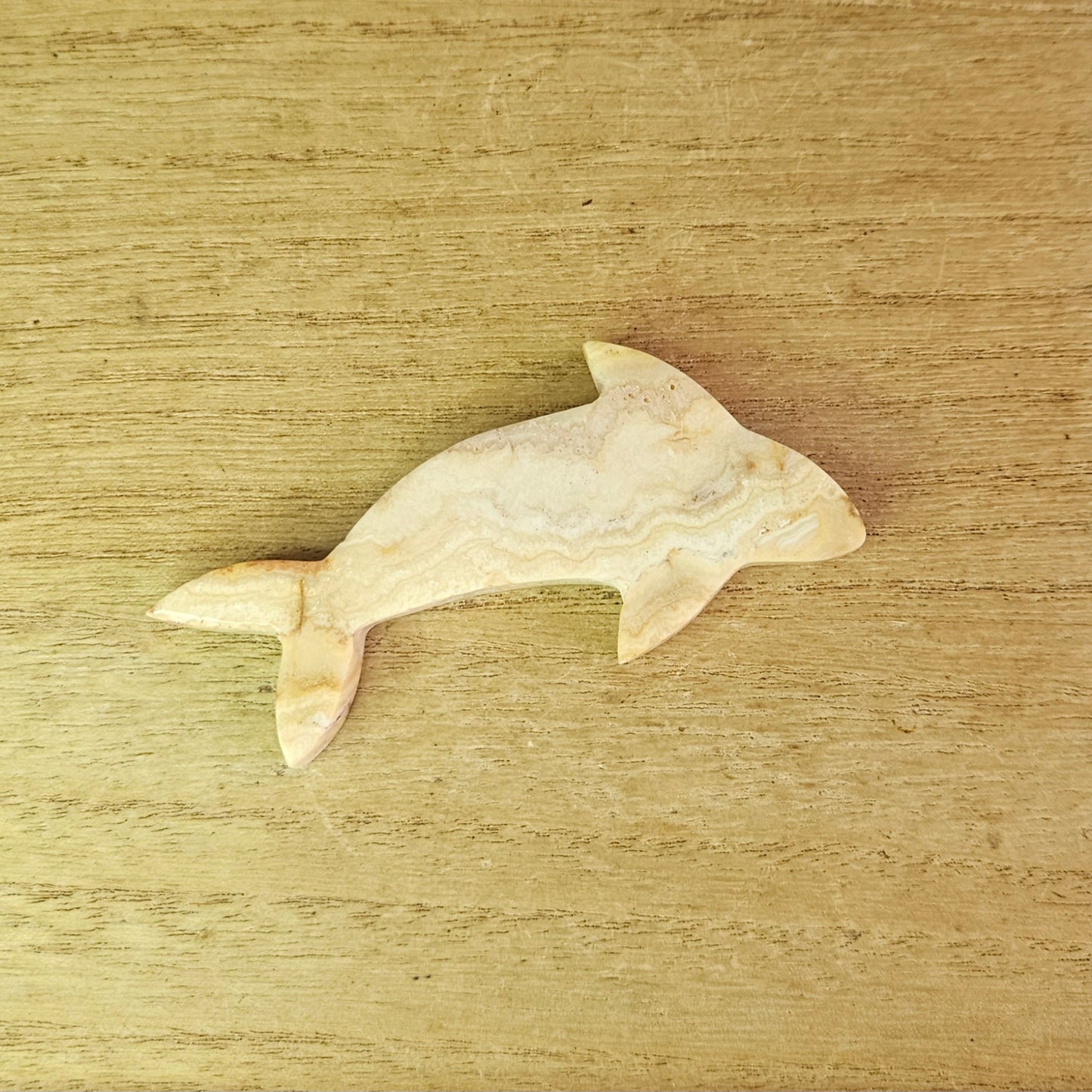 Yellow Crazy Lace Dolphin Carving.