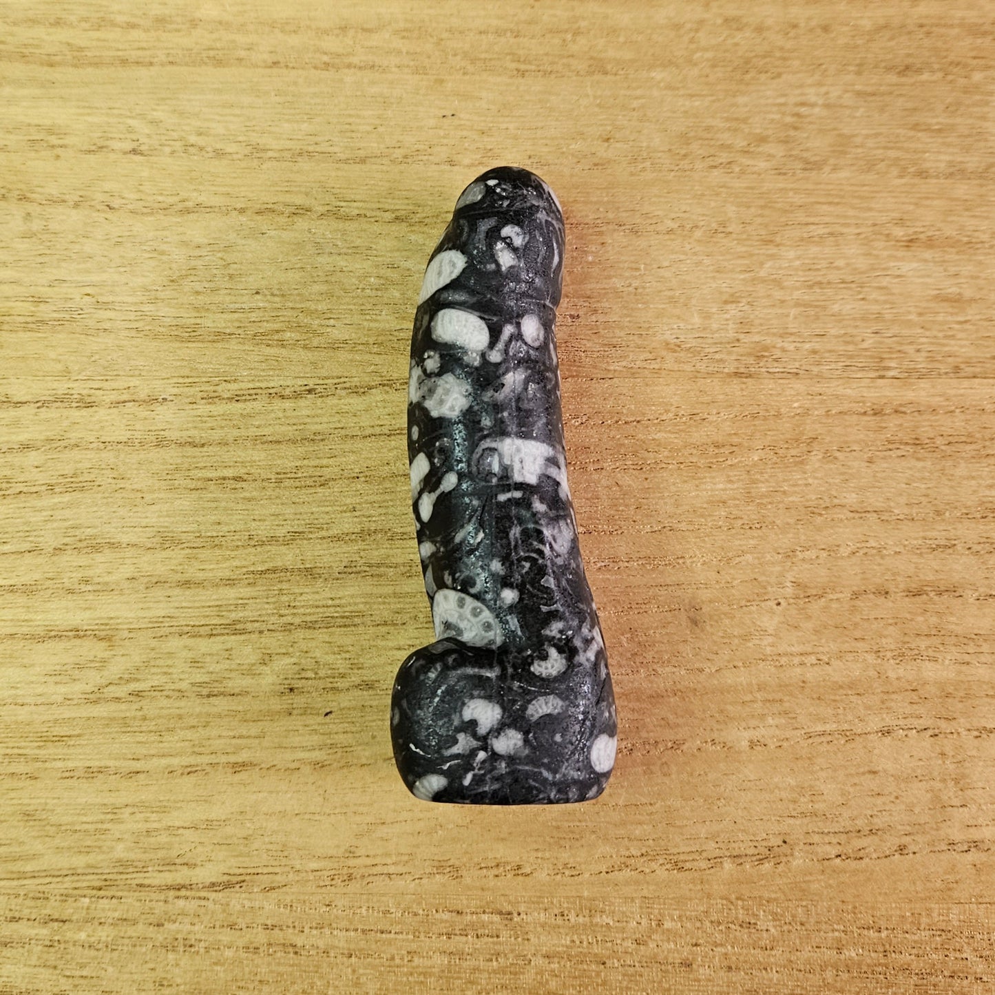 Fossil Jasper Willy.