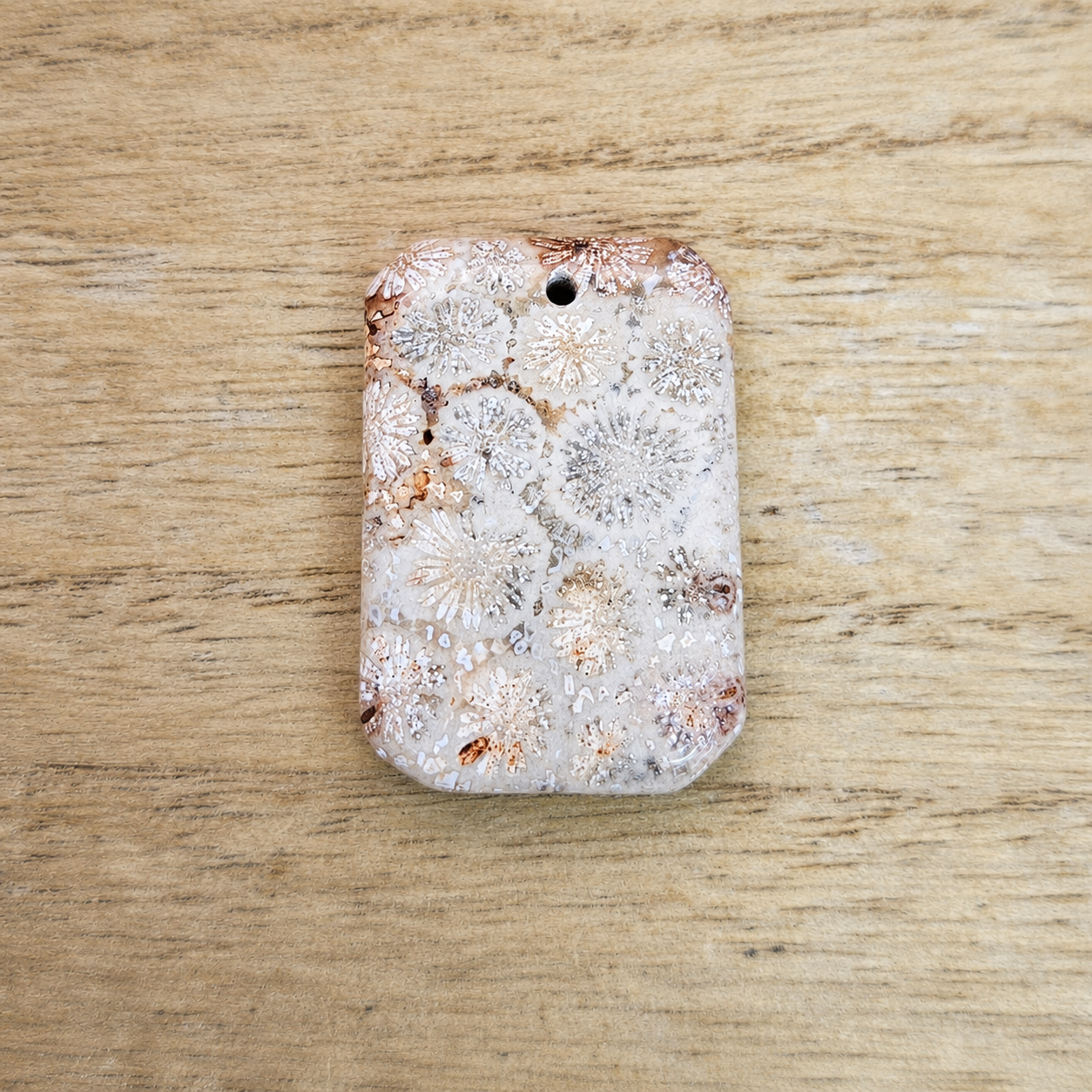 Fossil Coral Rectangle Cabochon. * Pre Drilled*.