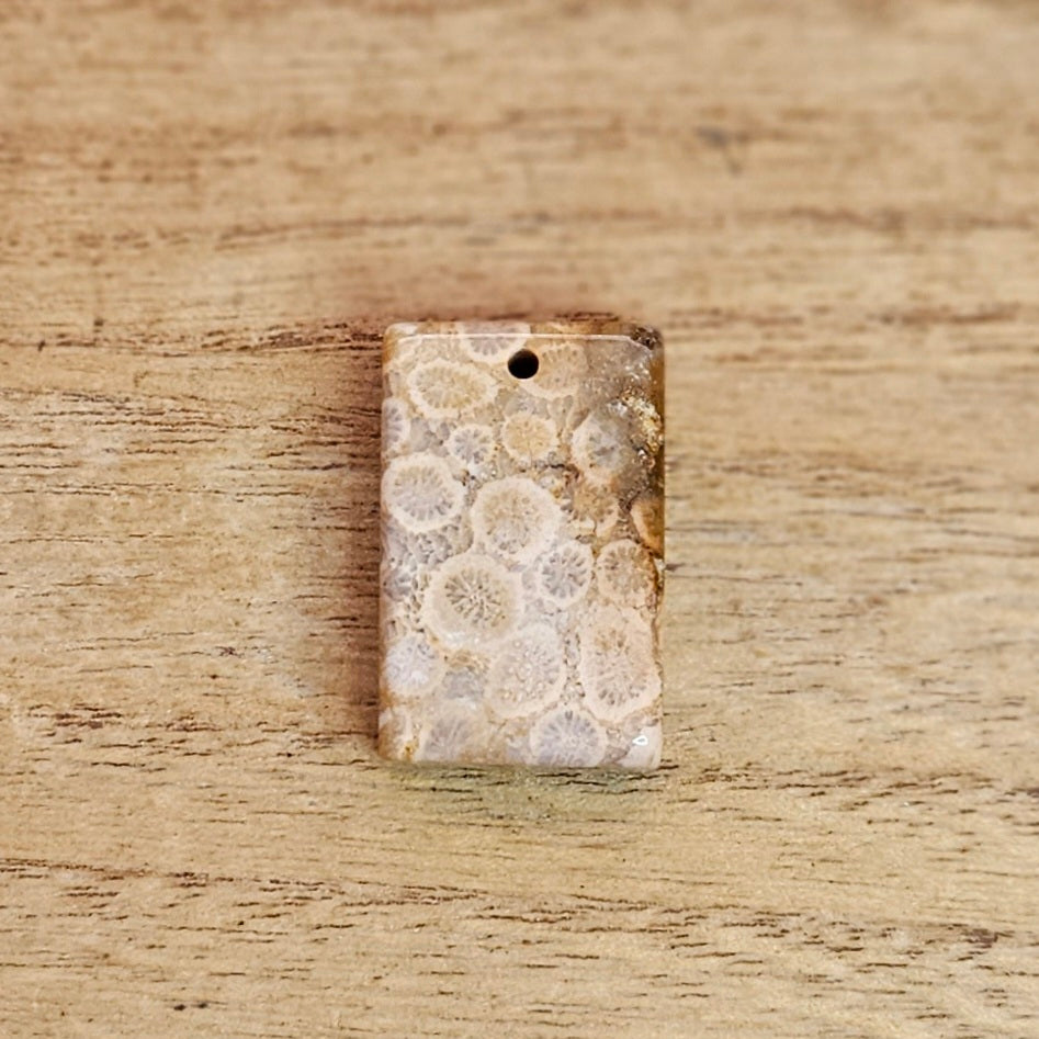 Fossil Coral Rectangle Cabochon. *Pre Drilled*.