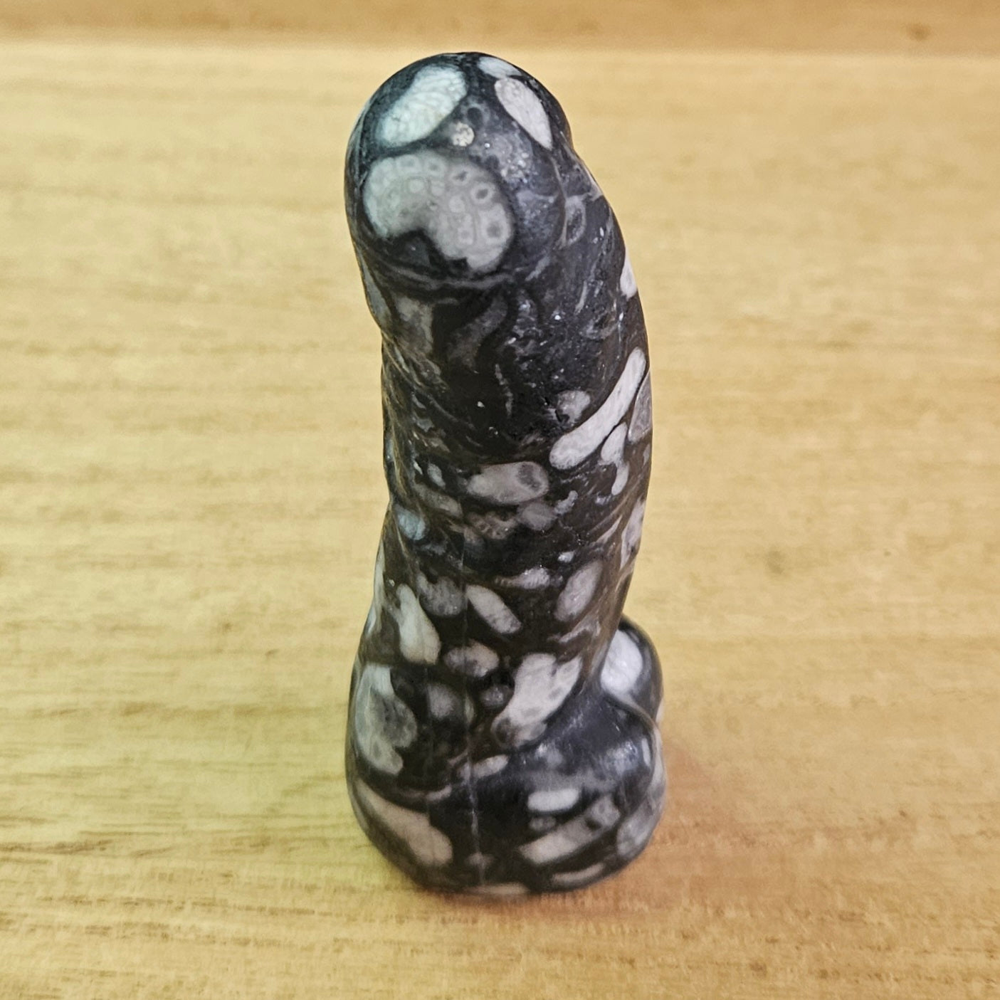 Fossil Jasper Willy.