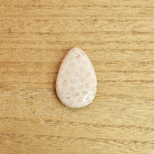 Fossil Coral Tear-drop Cabochon.