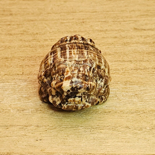 Honey Amber Calcite LongGui Carving.