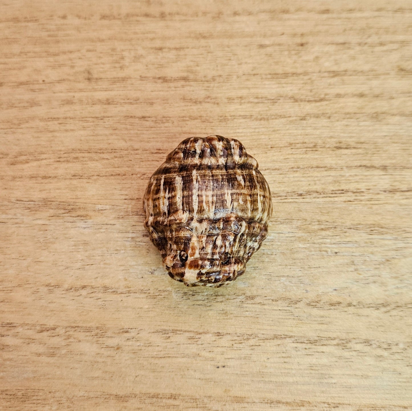 Honey Amber Calcite LongGui Carving.