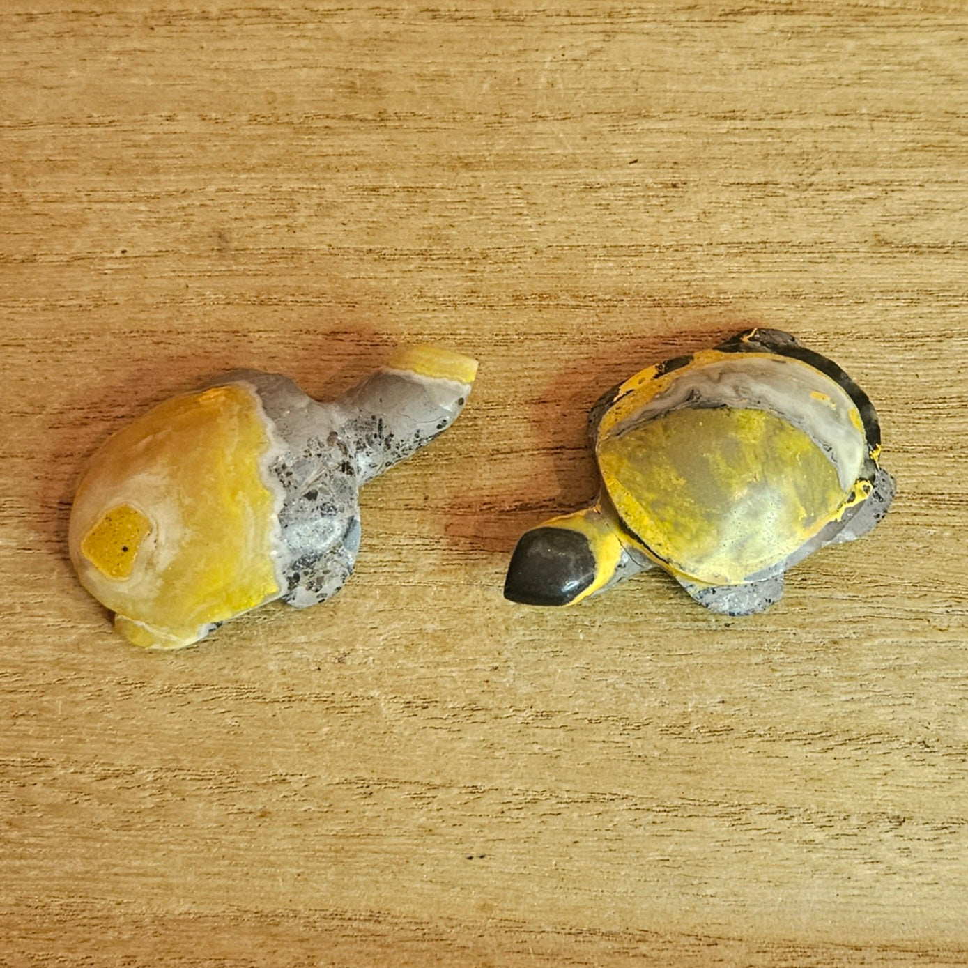 Bumblebee Jasper Turtle Carving. *Sold Separately*