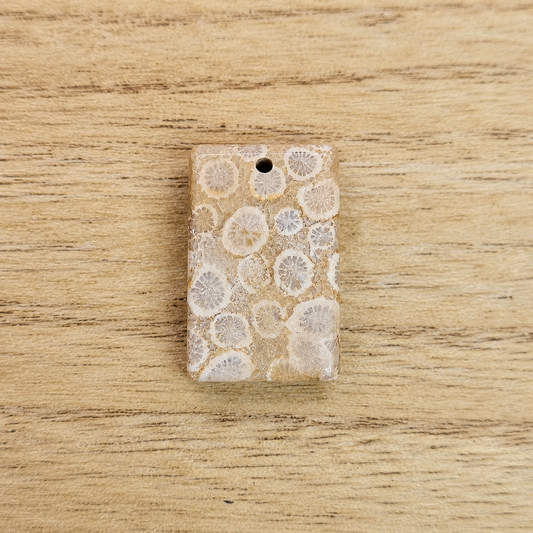 Fossil Coral Rectangle Cabochon. *Pre Drilled*.