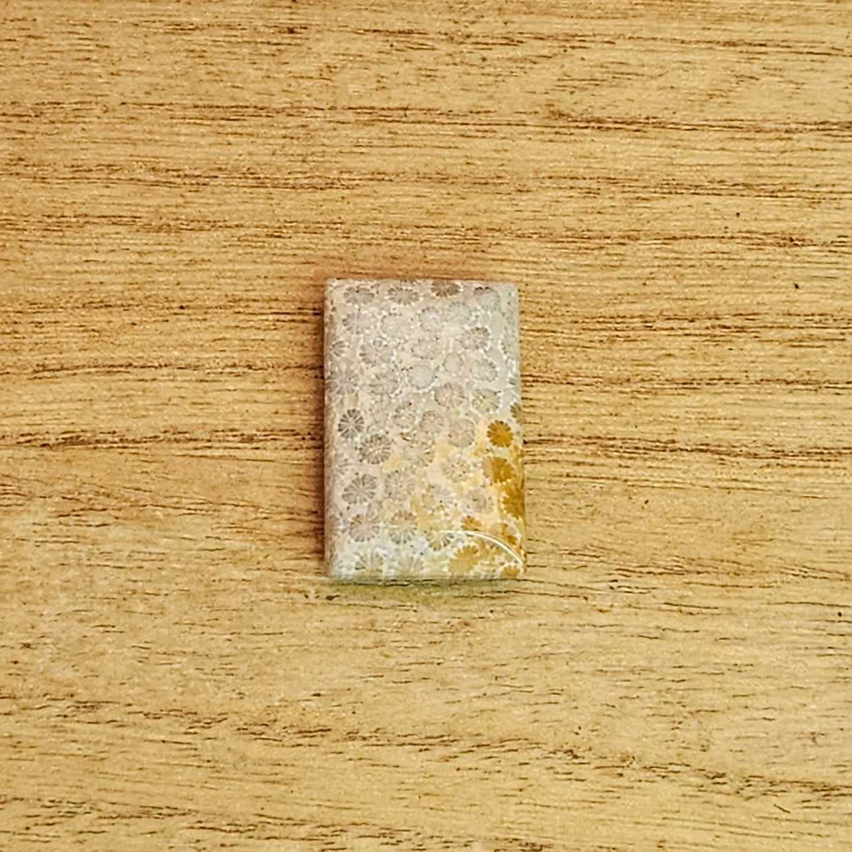 Fossil Coral Rectangle Cabochon.