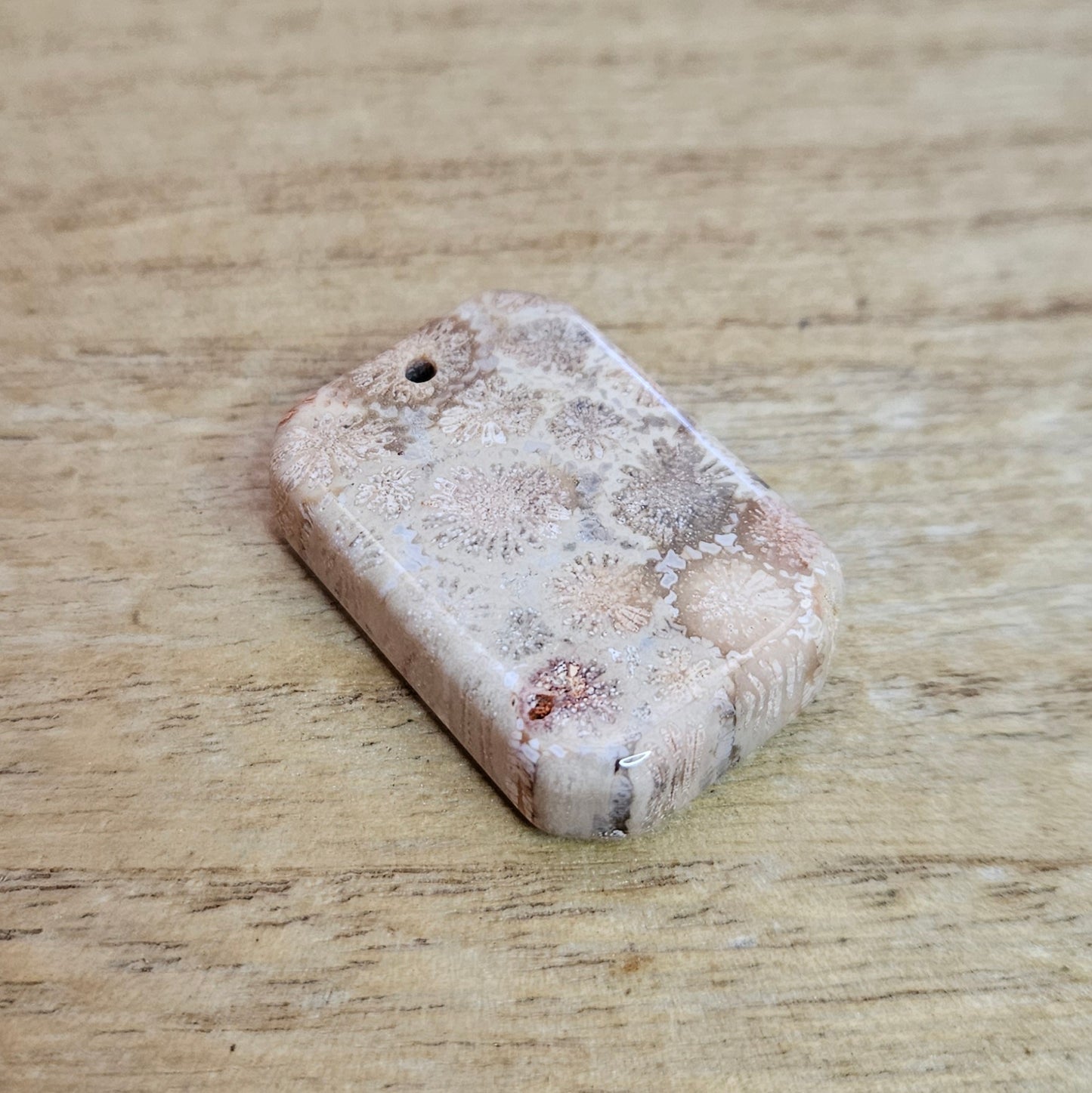 Fossil Coral Rectangle Cabochon. * Pre Drilled*.