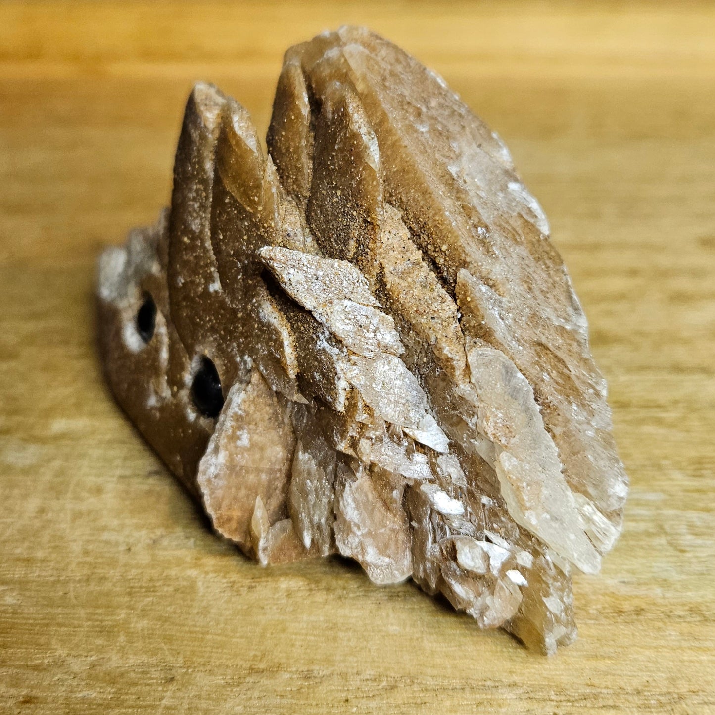 Desert Rose Raw Buddy.