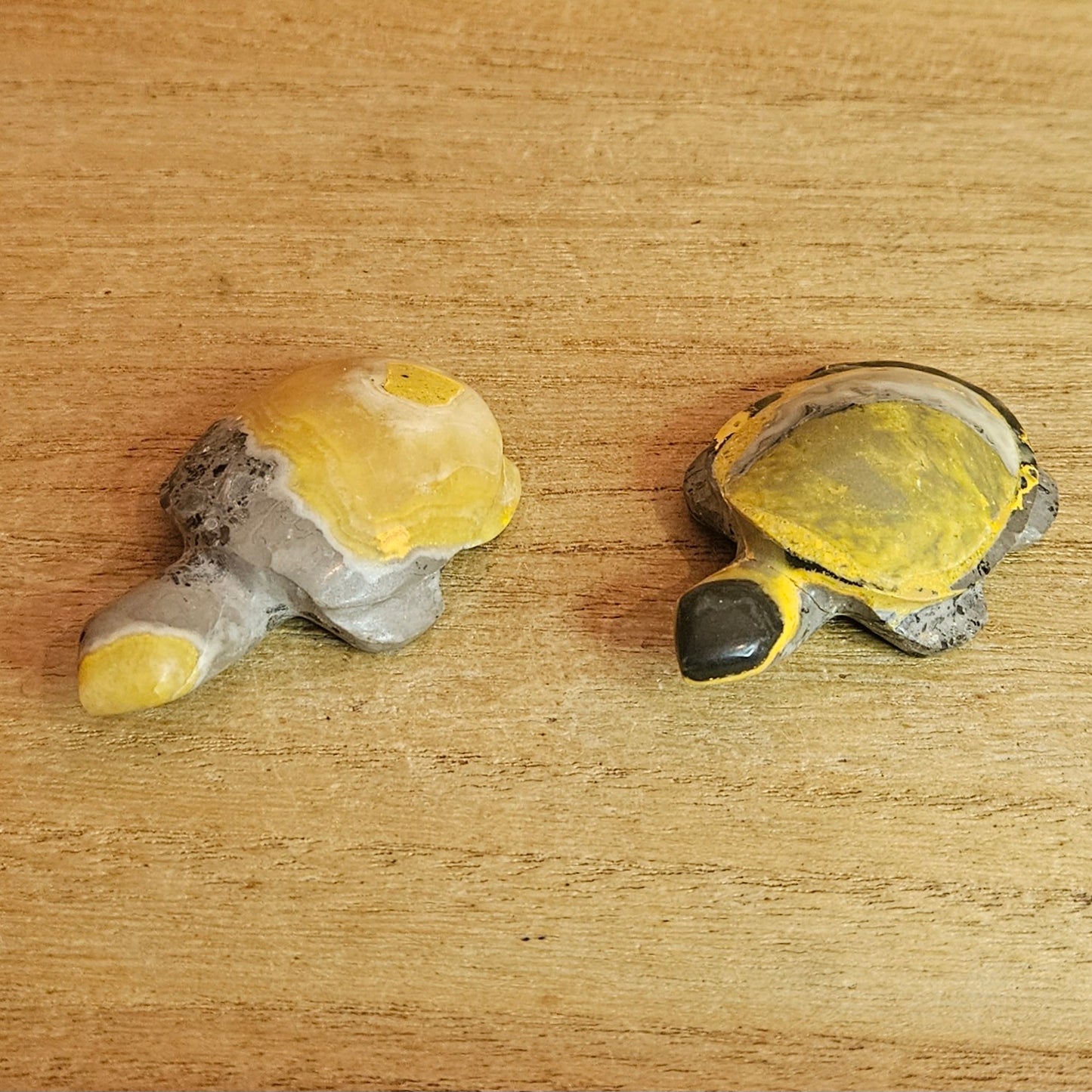 Bumblebee Jasper Turtle Carving. *Sold Separately*