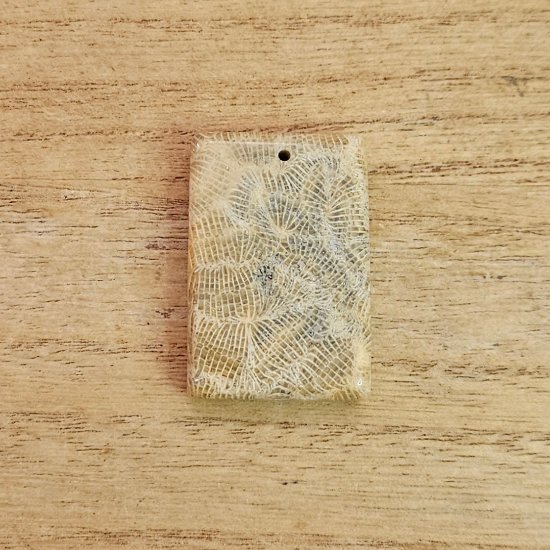 Fossil Coral Rectangle Cabochon. *Pre Drilled*.