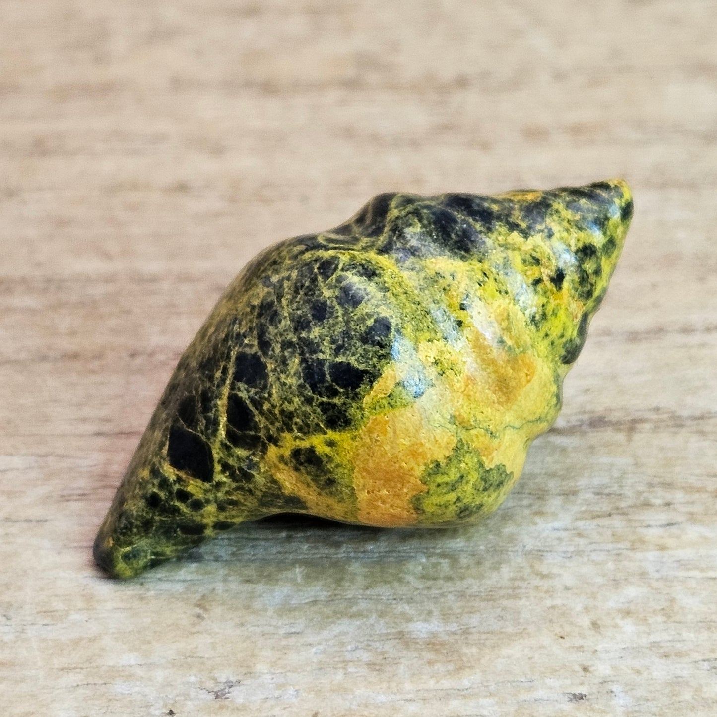 Realgar Seashell Carving.