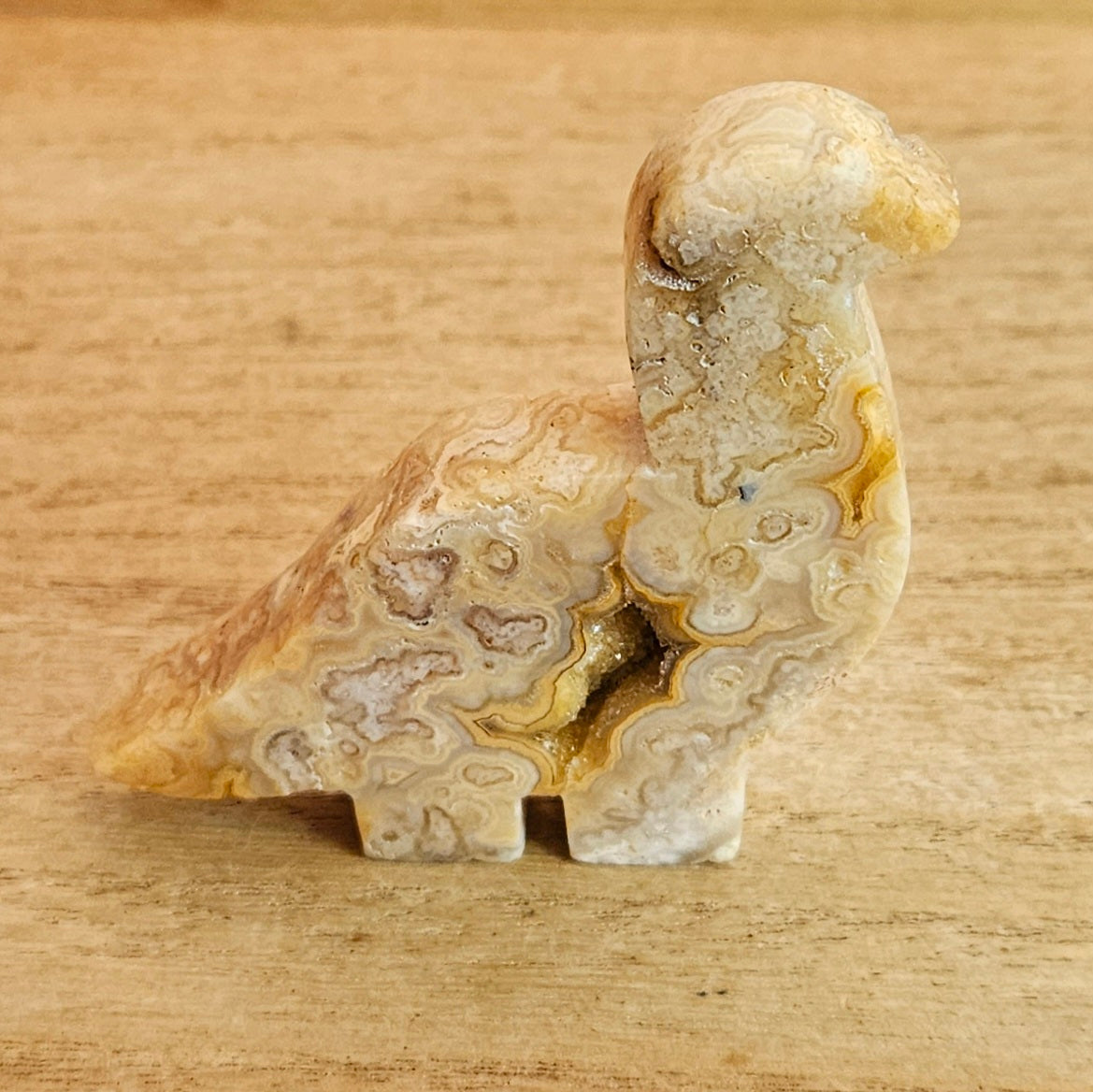 Yellow Crazy Lace Agate Brontosaurus Flat Carving.