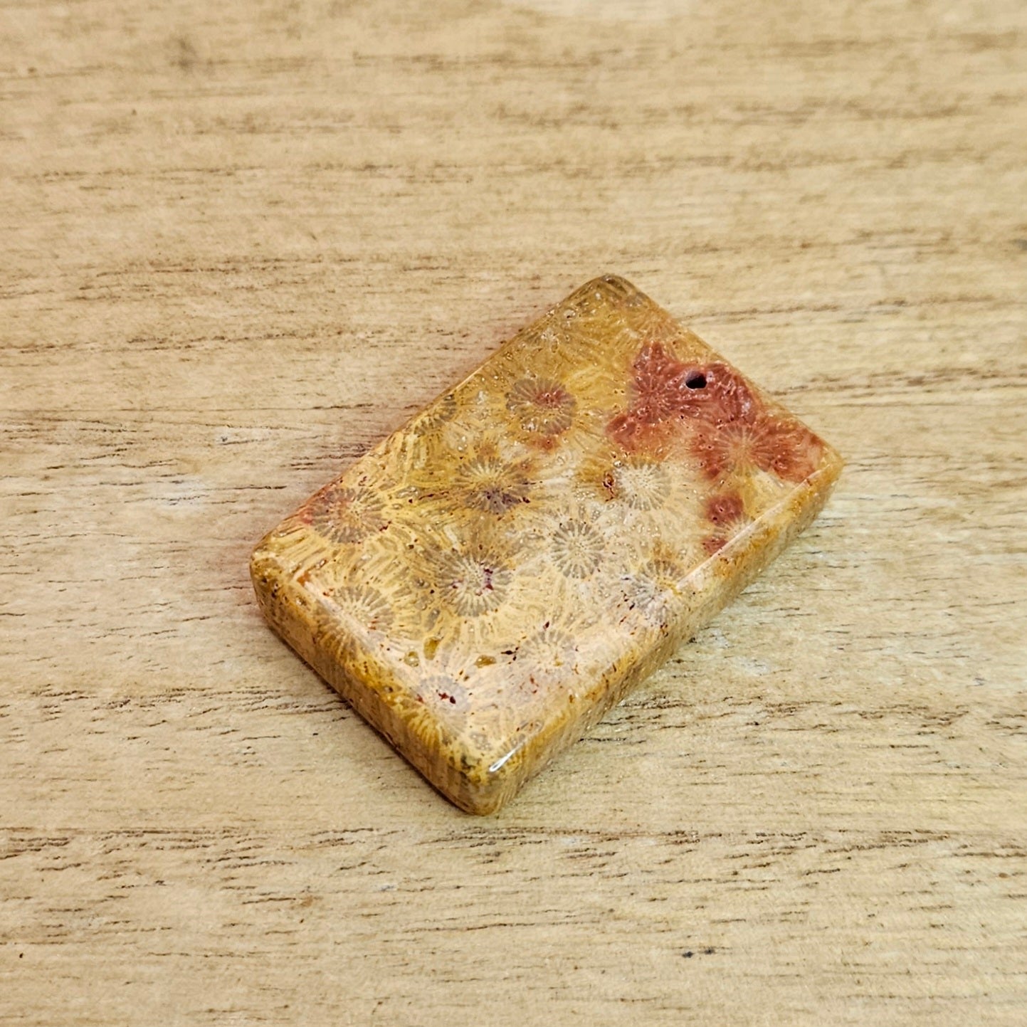 Fossil Coral Rectangle Cabochon. *Pre Drilled*.